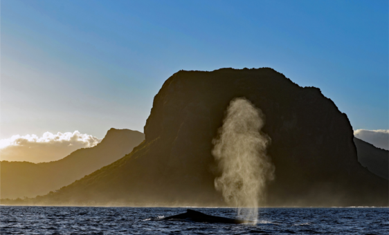 Mauritius