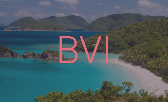 Website-Code-BVI