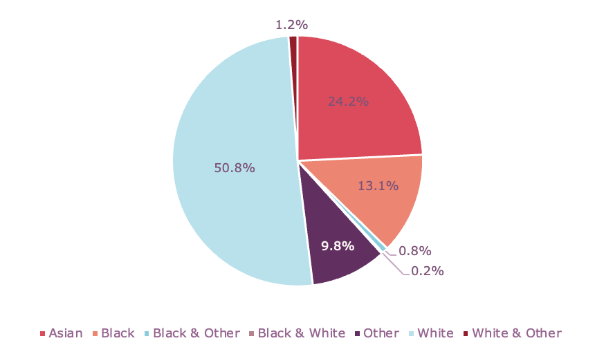 pie-chart-diversity-and-inclusion